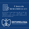 rematricula